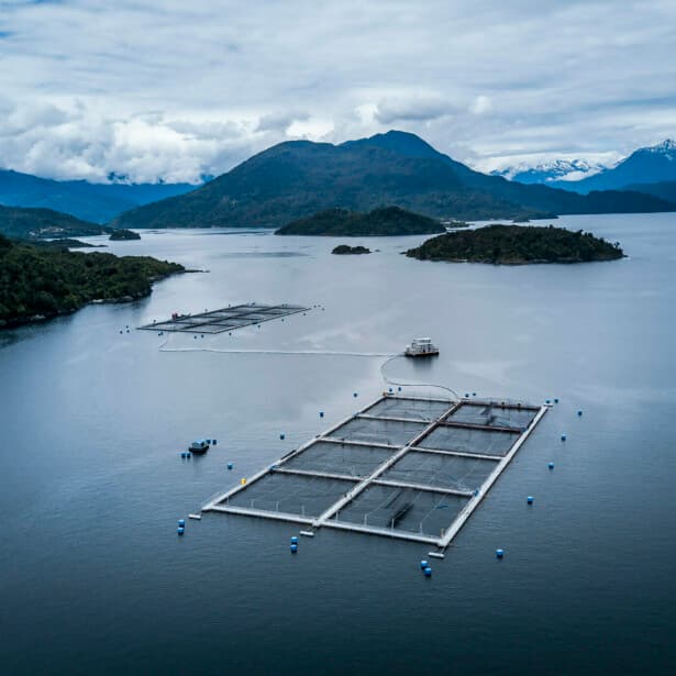 Salmon farm in the cold waters of Patagonia, Chile